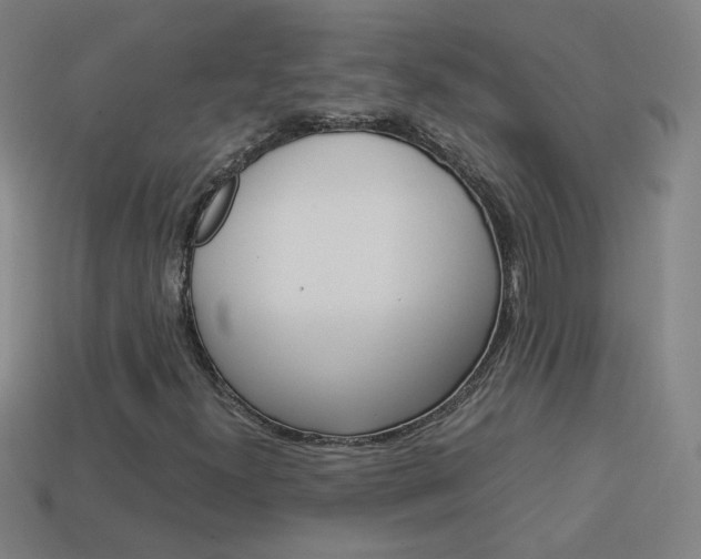 X0000114191300200910091020