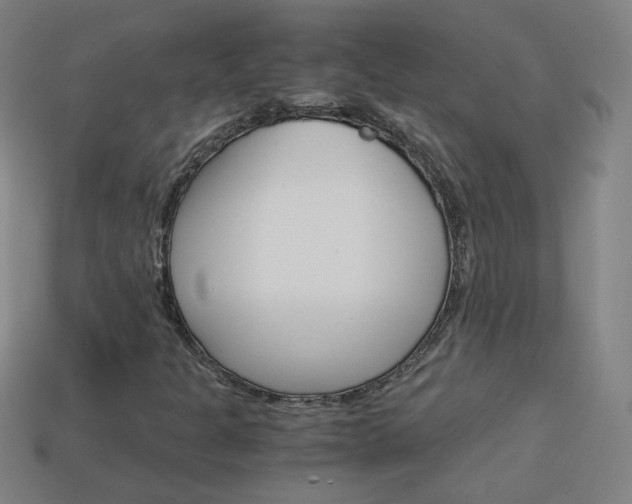 X0000114191301200910091020