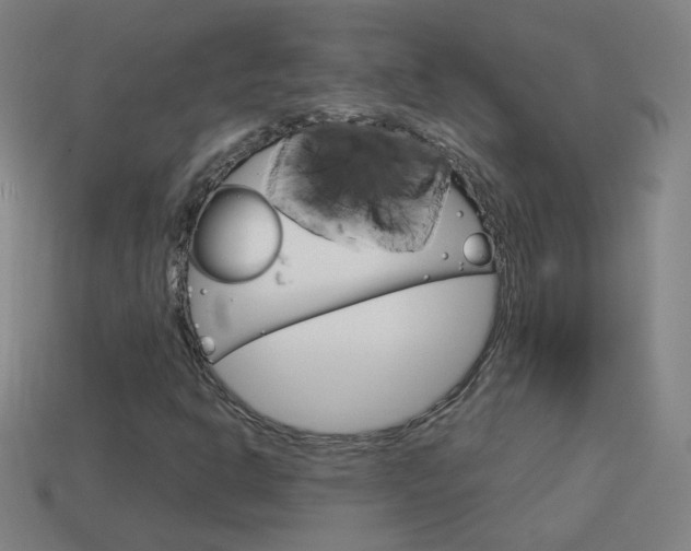 X0000114191302200910091020