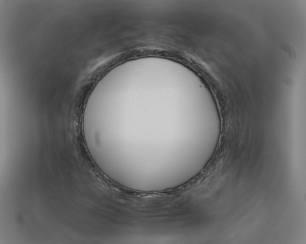 X0000114191303200910091020