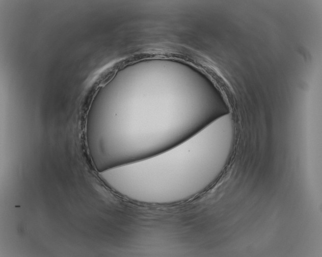 X0000114191304200910091020