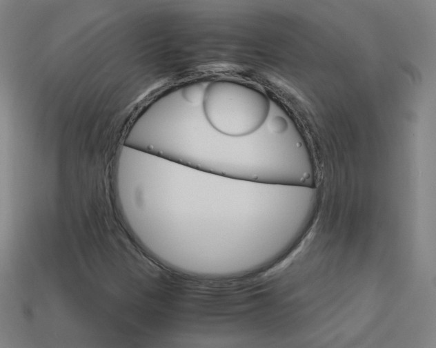 X0000114191305200910091020