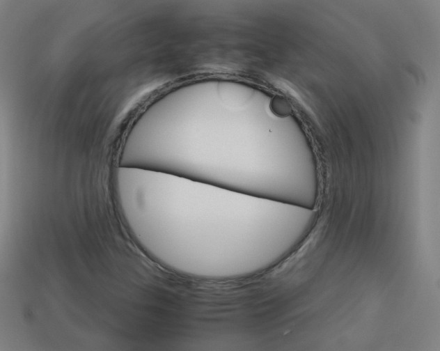 X0000114191307200910091020