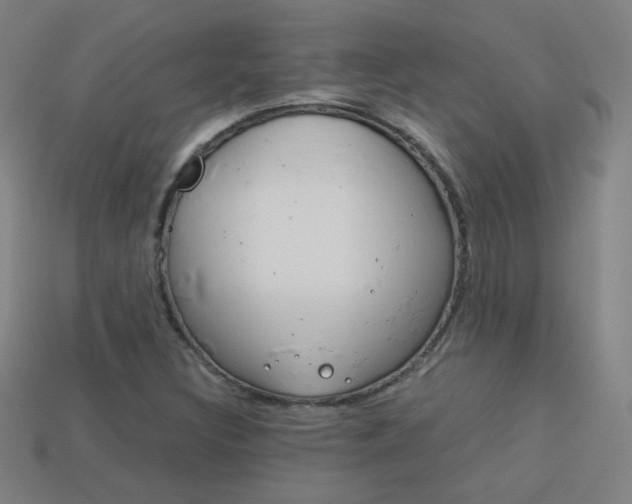 X0000114191308200910091020