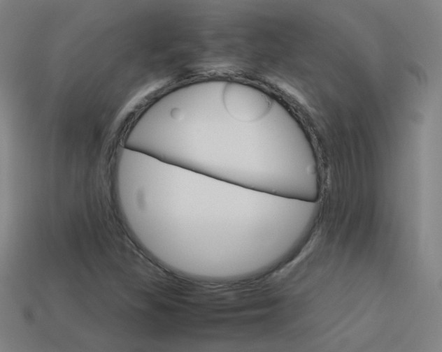X0000114191309200910091020