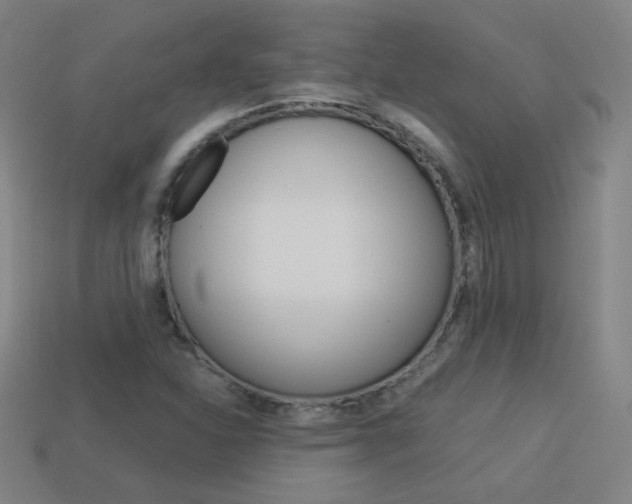 X0000114191310200910091020