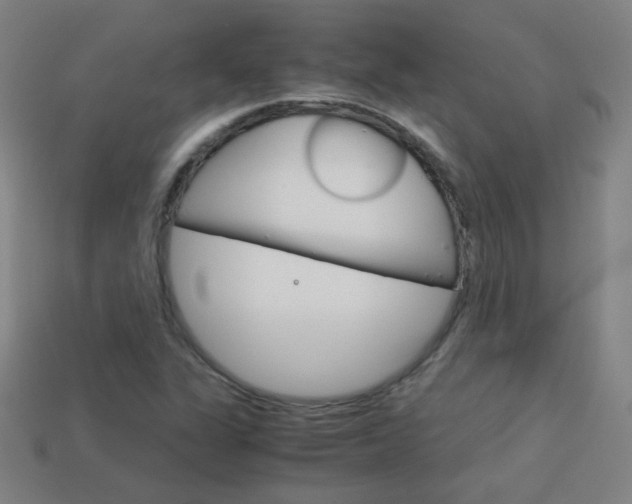 X0000114191311200910091020