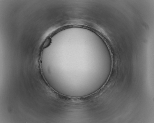 X0000114191312200910091020