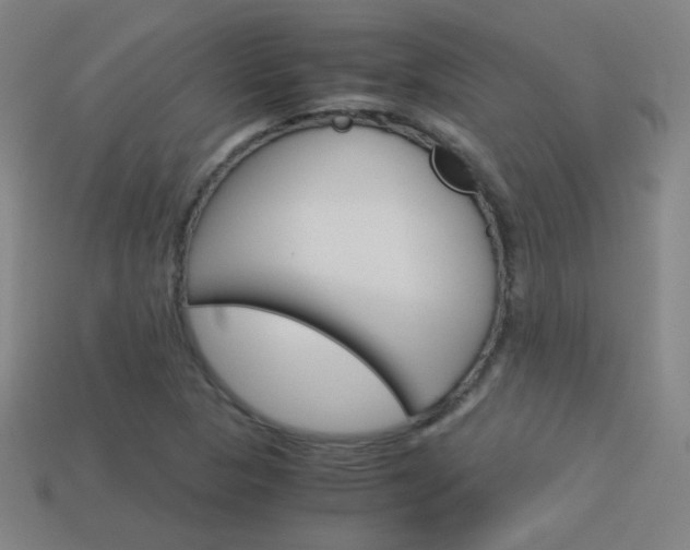X0000114191313200910091020