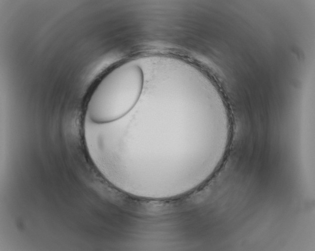 X0000114191314200910091020