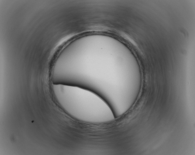 X0000114191315200910091020