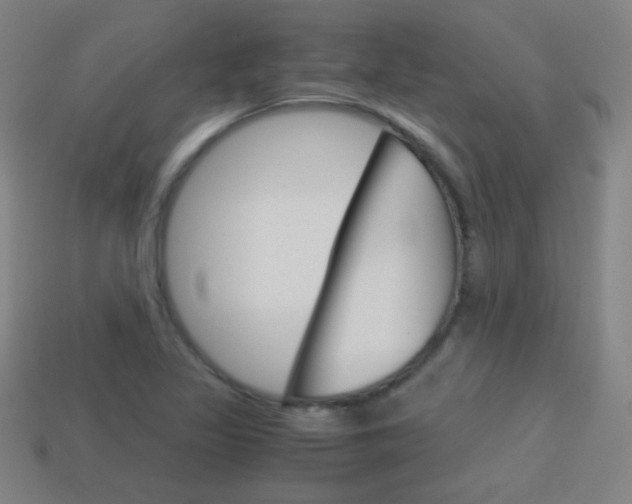 X0000114191317200910091020