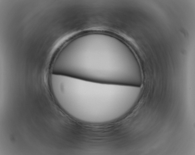 X0000114191319200910091020