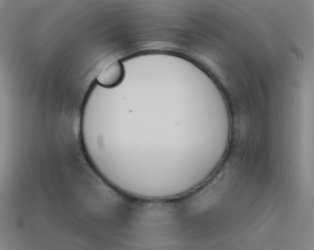 X0000114191322200910091020