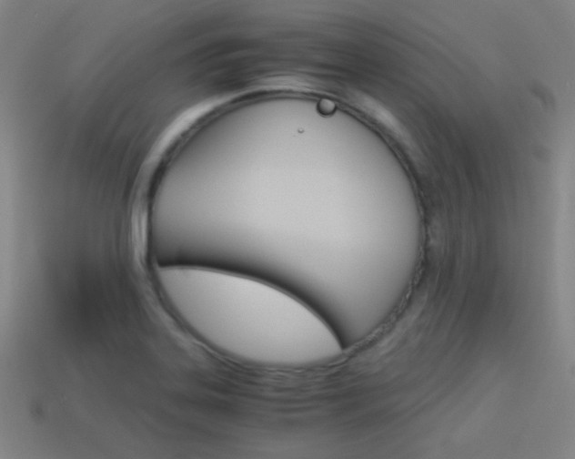 X0000114191323200910091020