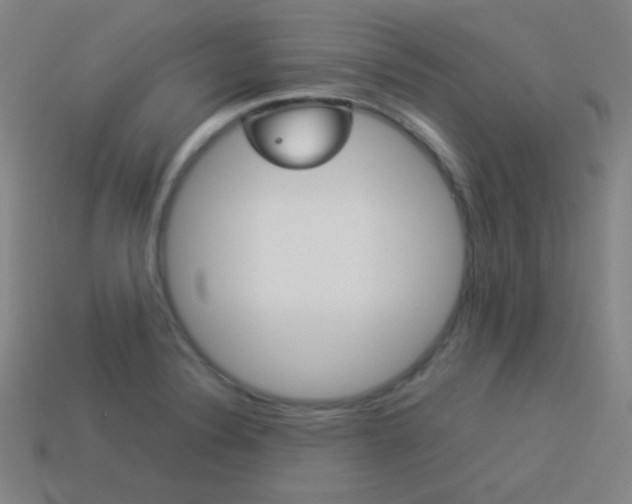 X0000114191324200910091020