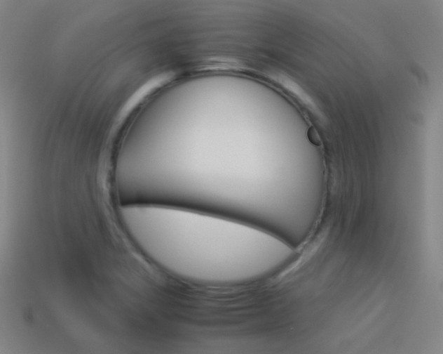 X0000114191325200910091020