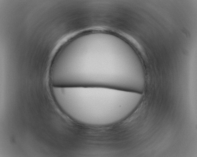 X0000114191327200910091020