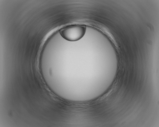 X0000114191328200910091020