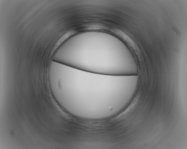 X0000114191329200910091020