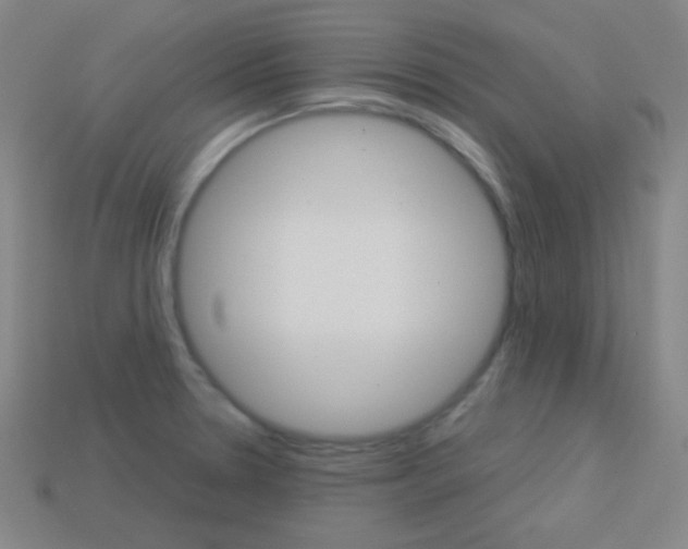 X0000114191330200910091020