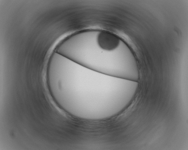 X0000114191331200910091020