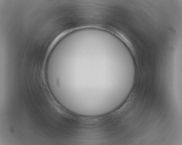 X0000114191332200910091020