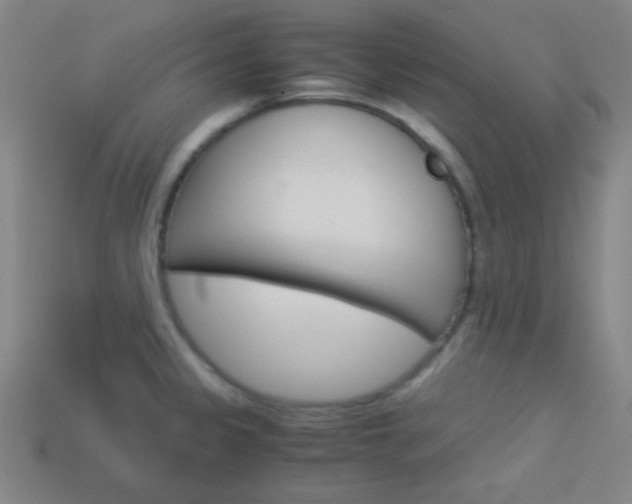 X0000114191333200910091020