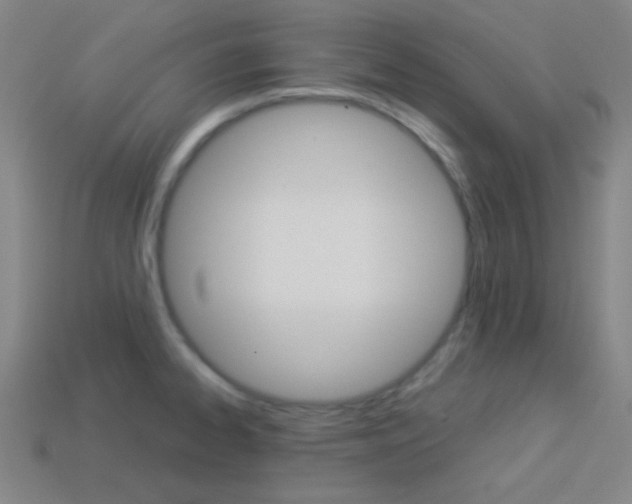 X0000114191334200910091020
