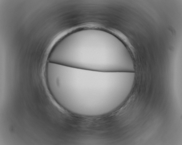 X0000114191335200910091020
