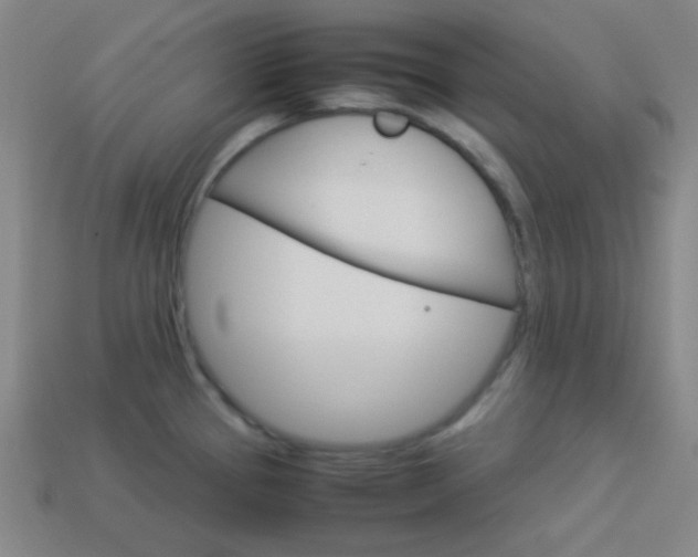 X0000114191337200910091020