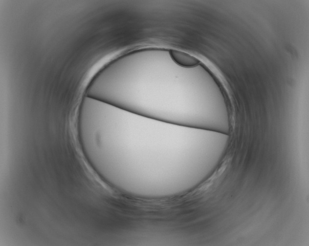 X0000114191341200910091020