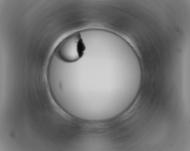 X0000114191342200910091020