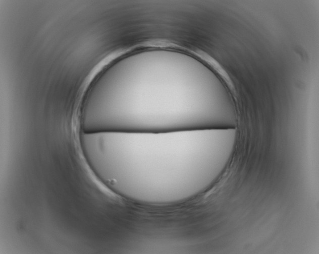 X0000114191343200910091020