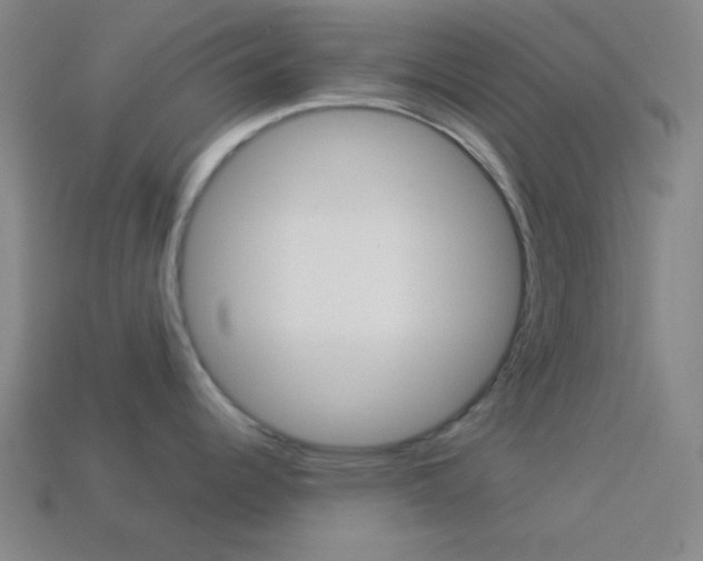 X0000114191344200910091020