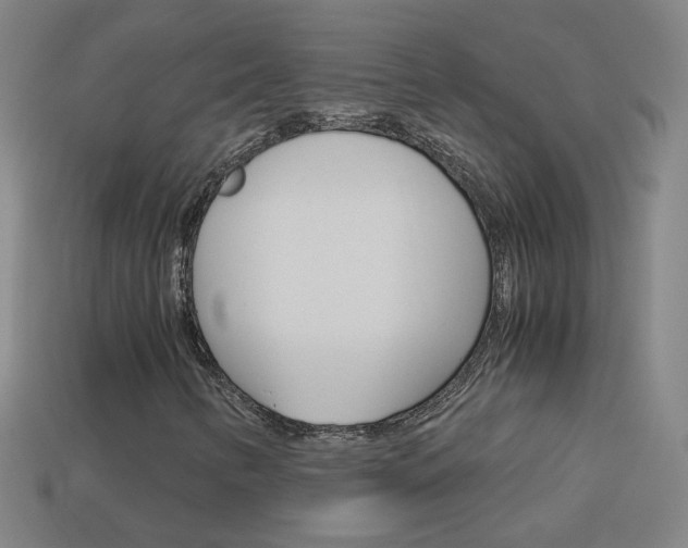 X0000114191346200910091020