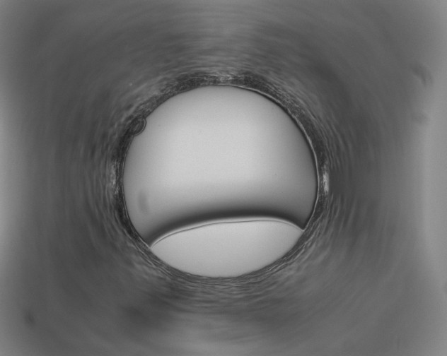 X0000114191347200910091020