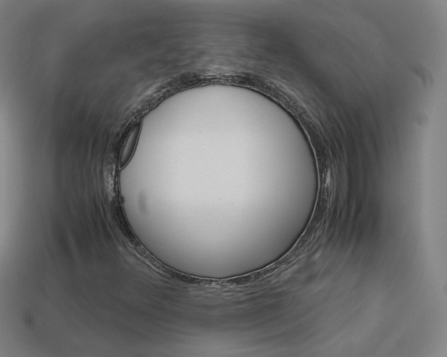 X0000114191348200910091020