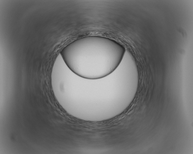 X0000114191349200910091020