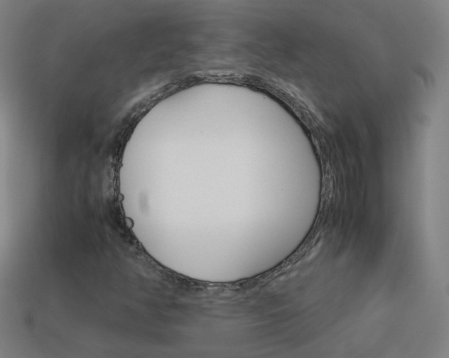 X0000114191350200910091020
