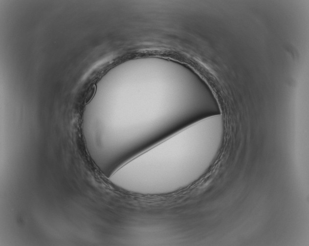 X0000114191351200910091019