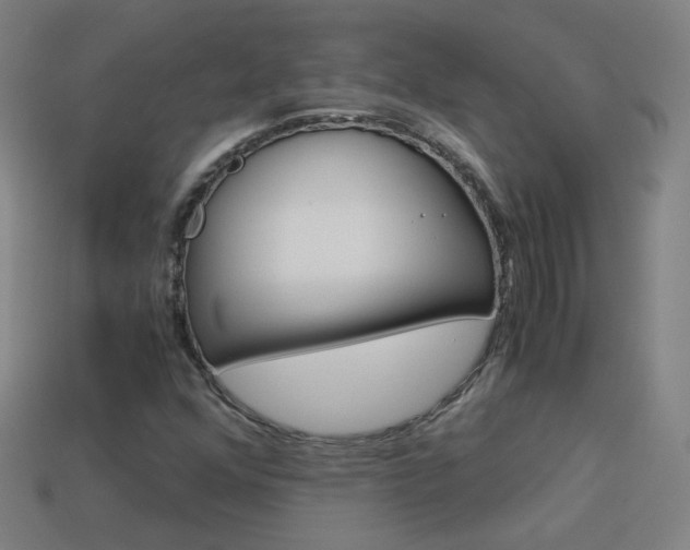 X0000114191352200910091019