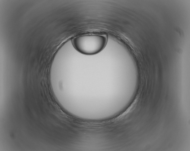 X0000114191353200910091019