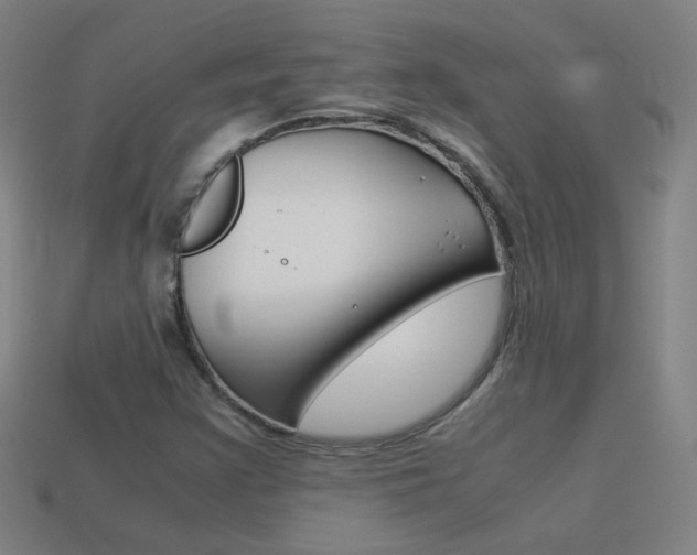 X0000114191355200910091019