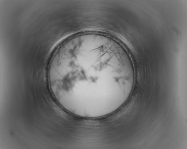 X0000114191356200910091019
