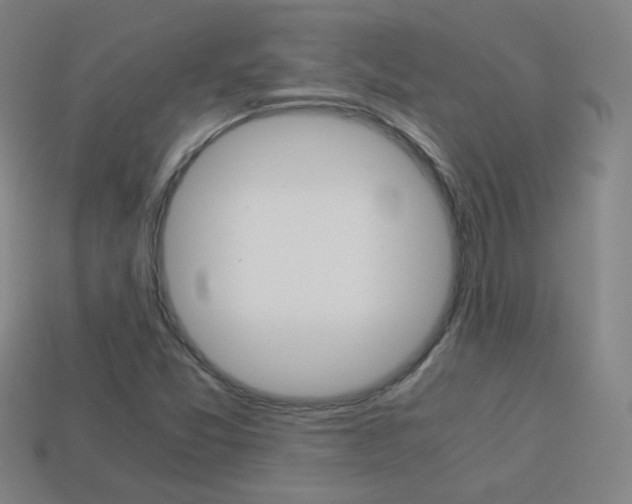 X0000114191357200910091019