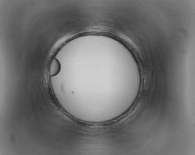 X0000114191358200910091019