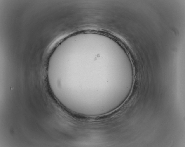 X0000114191359200910091019