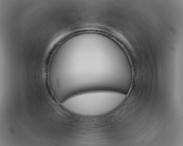 X0000114191360200910091019
