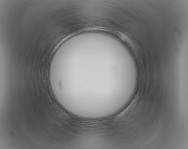 X0000114191361200910091019
